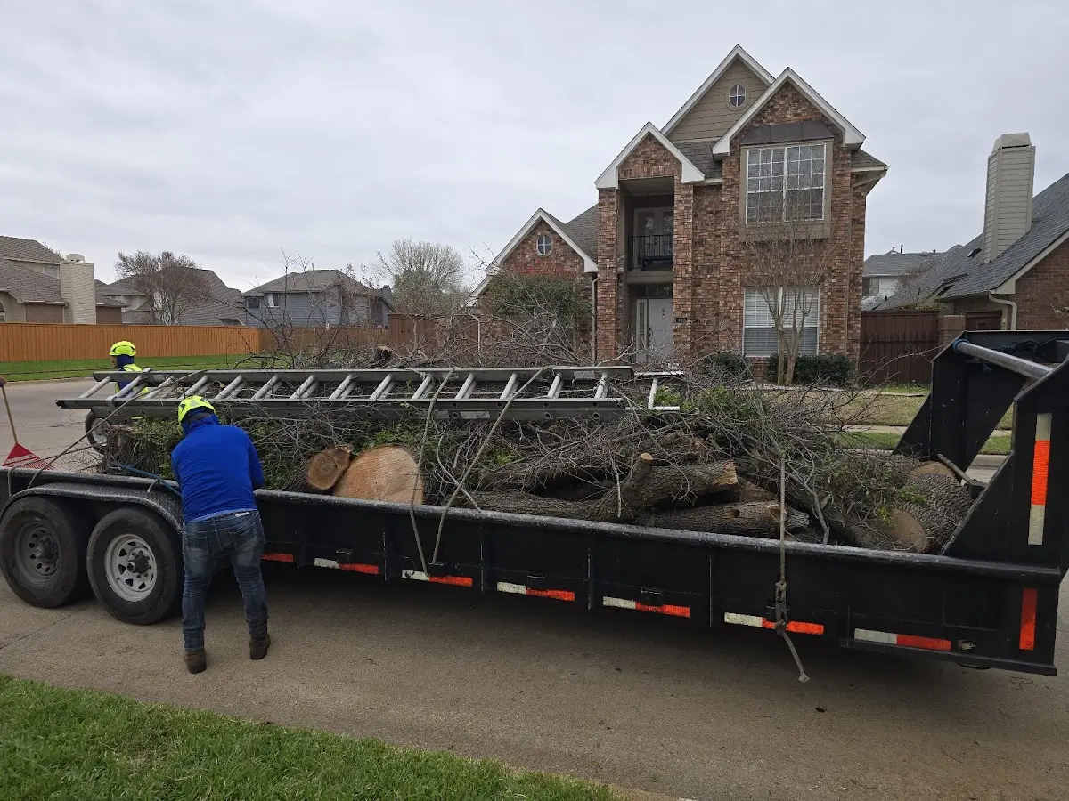 Expert Tree Pest Control with proper safety equipment in Blue Rapids